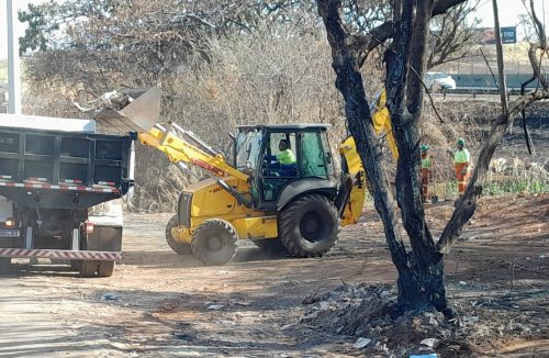 Arteris retira 505 toneladas de lixo das rodovias. Trecho urbano de Franca é crítico - Jornal da Franca