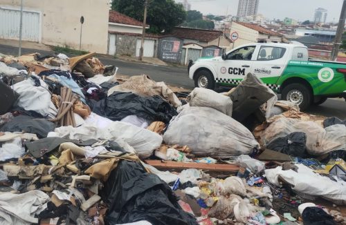 Ação rápida da Guarda Civil de Franca e Vigilância combate o crime ambiental - Jornal da Franca