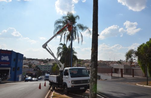 Avenida Major Nicácio e arredores passam por serviços de troca de iluminação - Jornal da Franca