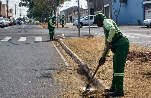 Saiba onde haverá limpeza e poda de árvores em Franca durante esta semana - Jornal da Franca