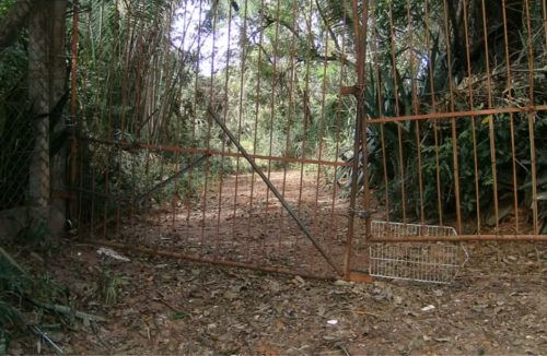 De arrepiar: Conheça a história de 2 fazendas mal-assombradas perto de Franca - Jornal da Franca