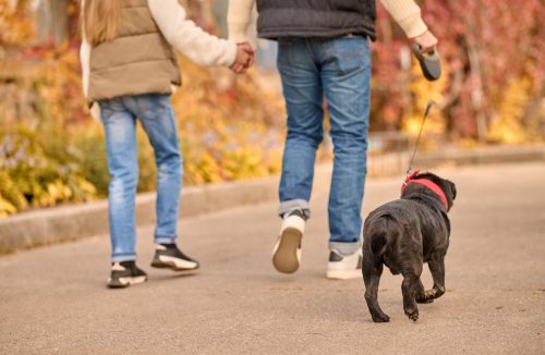 Unesp Franca anuncia uma manhã de atividades físicas para as pessoas e seus pets - Jornal da Franca