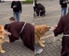 Padre fica em apuros ao tentar abençoar cão brincalhão e cena diverte a internet - Jornal da Franca