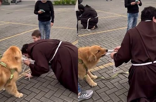 Padre fica em apuros ao tentar abençoar cão brincalhão e cena diverte a internet - Jornal da Franca