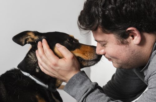 Cães sentem o estresse dos humanos pelo olfato, segundo estudo - Jornal da Franca