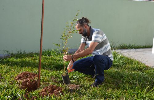 Crianças se reúnem para plantar 200 mudas de barbatimão no Parque dos Trabalhadores - Jornal da Franca