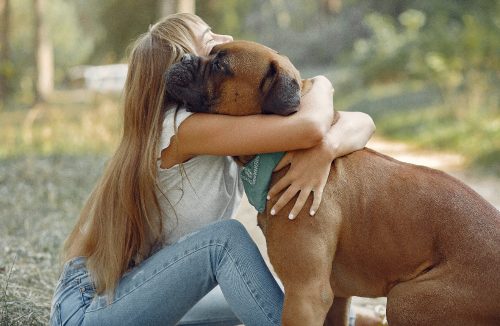 Cachorro: o melhor antidepressivo natural? Estudo de Harvard surpreende! - Jornal da Franca