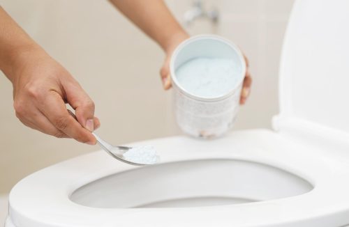 Adeus, odor de xixi! O segredo do vaso sanitário limpo está nestes 4 ingredientes - Jornal da Franca