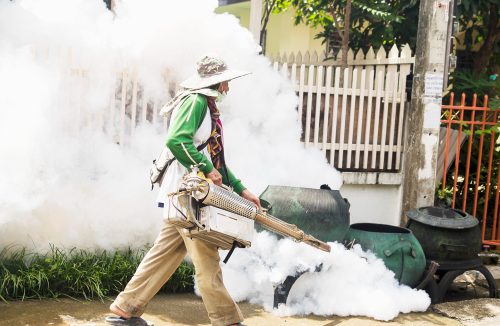 Com quase 6 mil mortes este ano, dengue terá ações de conscientização em todo Brasil - Jornal da Franca