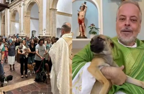 Conheça o padre que resgata cães, cuida e leva à missa para serem adotados - Jornal da Franca