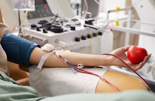 Salvar vidas: conheça o passo a passo para a doação de sangue e pratique em 2025 - Jornal da Franca