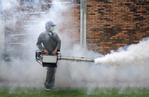 Com a chegada do verão, chega também a preocupação com os casos de dengue - Jornal da Franca