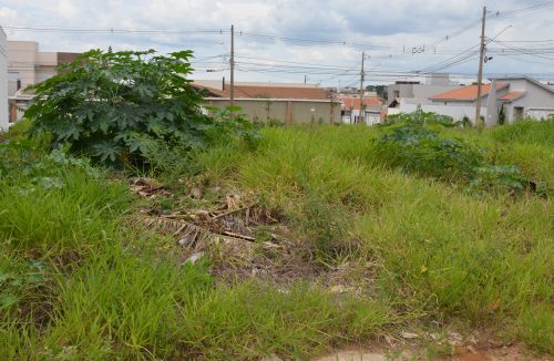 Proprietários são notificados para limpar terrenos e evitar multas em Franca - Jornal da Franca