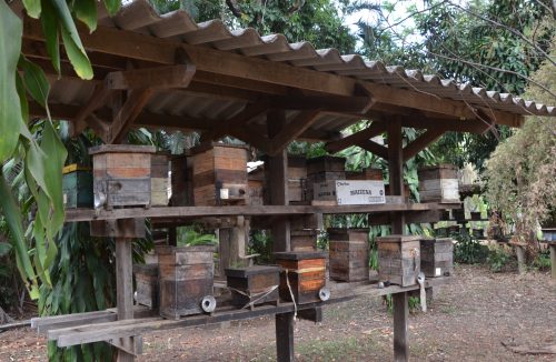 Cursos gratuitos promovem sustentabilidade e segurança no campo em Franca - Jornal da Franca