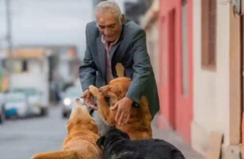 Aos 75 anos, homem é aprovado na universidade para cursar medicina veterinária - Jornal da Franca